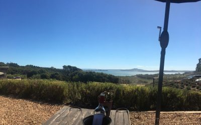 Vineyard Trip Around Waiheke Island – Cruzen Campers